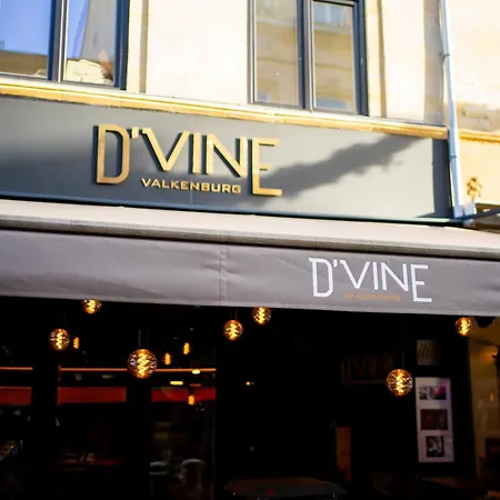 D'vine Appartement *